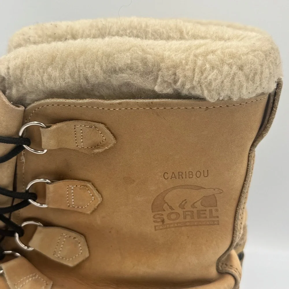 Sorel caribou winter